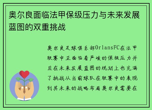 奥尔良面临法甲保级压力与未来发展蓝图的双重挑战
