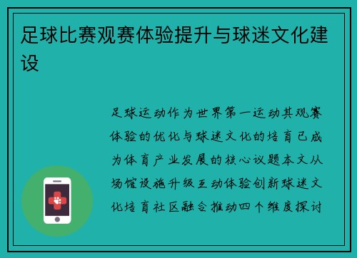 足球比赛观赛体验提升与球迷文化建设